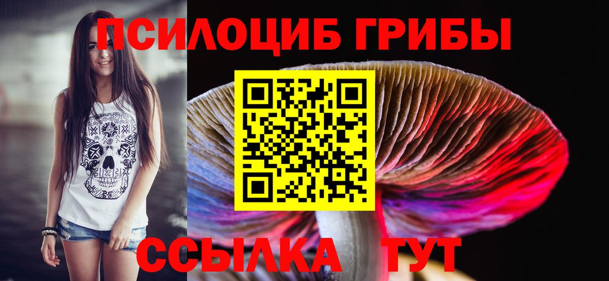 Псилоцибиновые грибы мицелий  Вход с VPN  Арзамас 