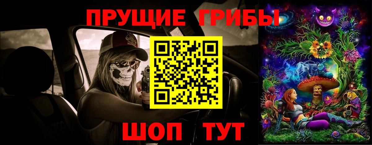 Галлюциногенные грибы Psilocybe Арзамас